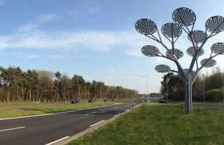 Bomen en bloemen Weg van de Toekomst