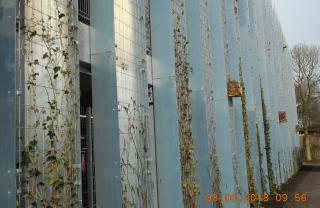 dscn0344