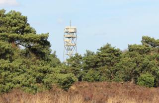 Brandtoren Kalmthoutse heide