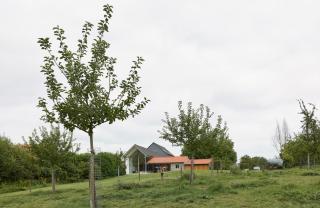 005-gba-roosdaal-dennisdesmet