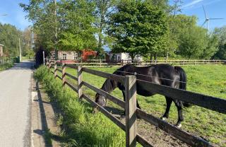 ATVH-OLDFARM-gijzenzele (2)