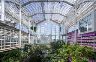 02_LR_VERTICALFARMBEIJING_VANBERGENKOLPA_©WEIQIJINR