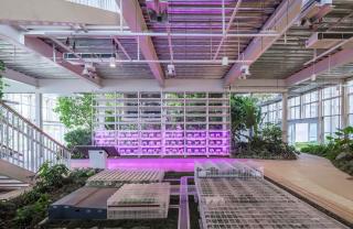 03_LR_VERTICALFARMBEIJING_VANBERGENKOLPA_©WEIQIJIN
