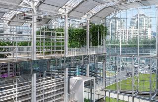 18_LR_VERTICALFARMBEIJING_VANBERGENKOLPA_©WEIQIJIN