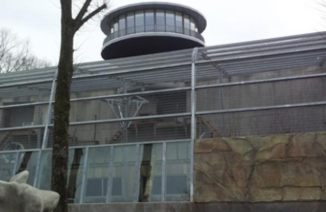 Gorillaverblijf Ouwehands Dierenverblijf