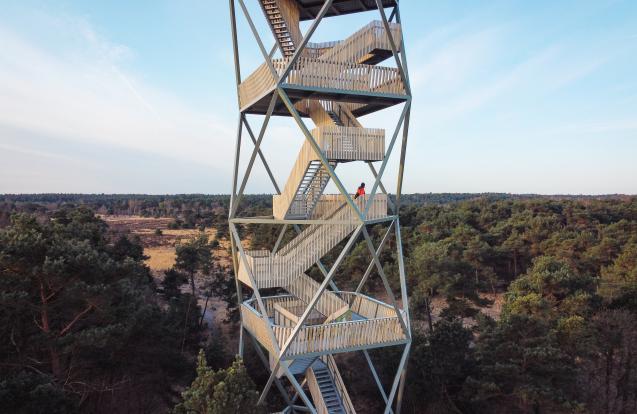 Brandtoren Kalmthoutse heide