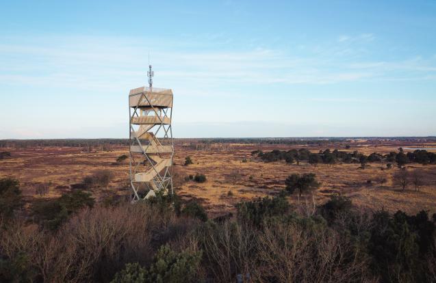 Brandtoren Kalmthoutse heide