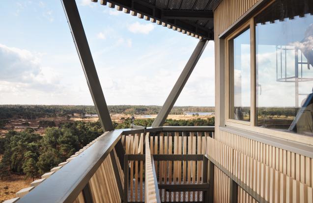 Brandtoren Kalmthoutse heide