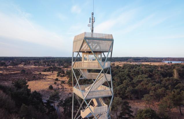 Brandtoren Kalmthoutse heide