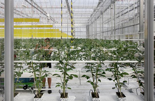 Dakserre Agrotopia