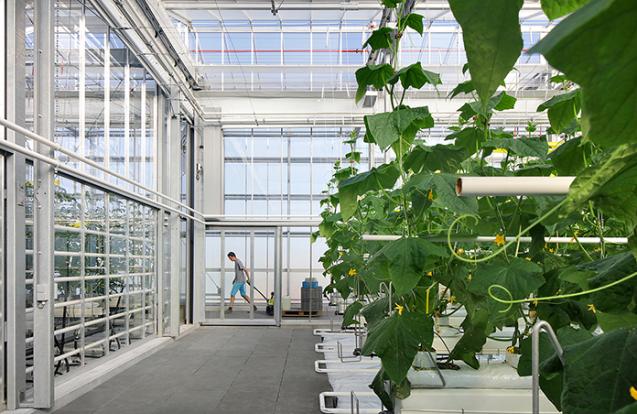Dakserre Agrotopia