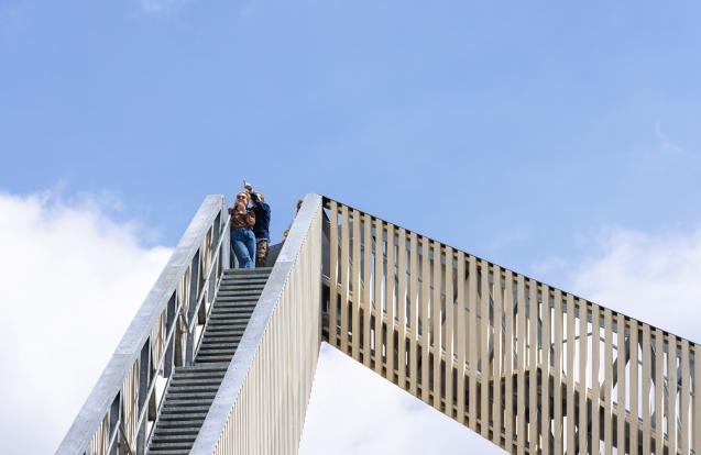 Uitkijktoren De Nieuwe Herdgang