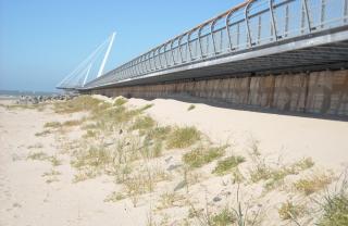 St. George day wandelpad ( Zeebrugge ) 018