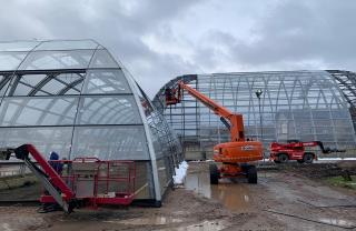 Flora Botanical garden Cologne glass construction 1