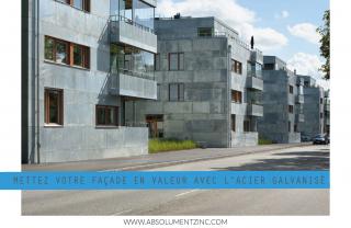 ABSOLUMENT ZINC - NOVEMBRE 2021