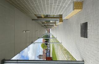IMG_7751
